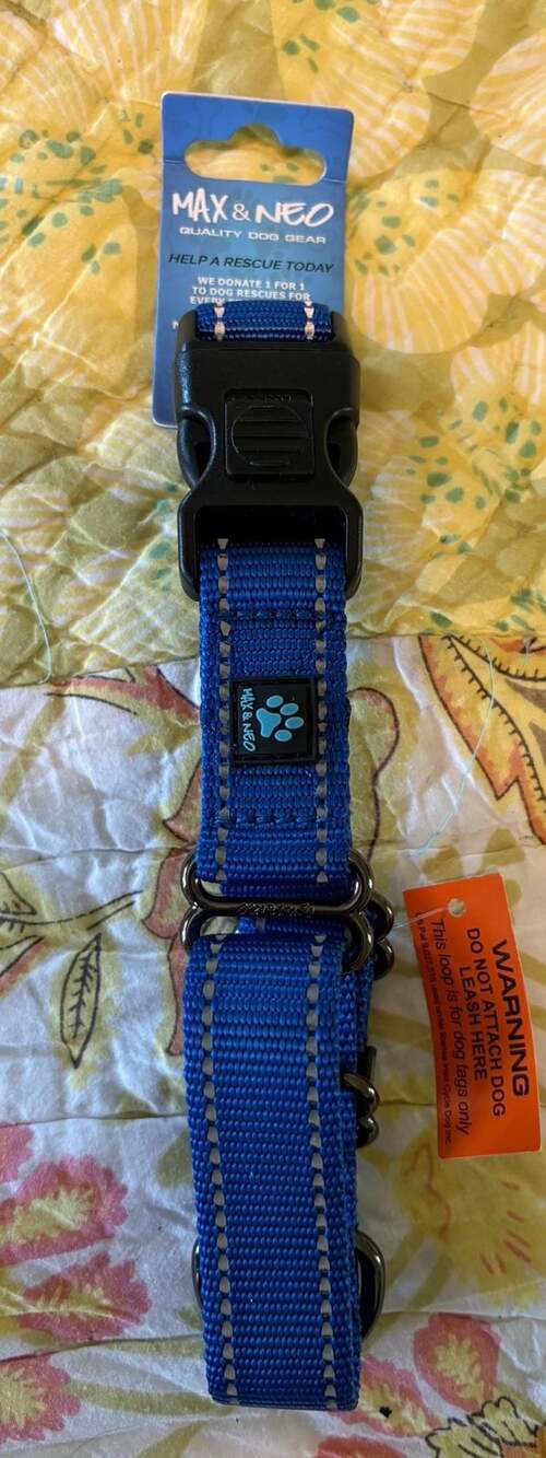 NWT Max & Neo Small Nylon Martingale Dog Collar with Reflective Stitching, Blue